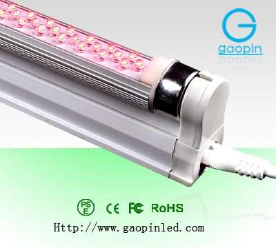 Led Manufacturers